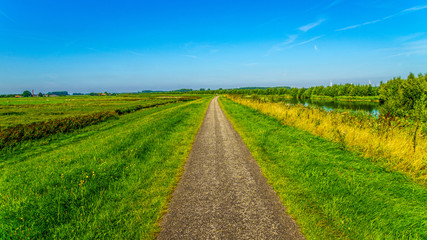 Straight bicycle path over the dike along the the bird sanctuary of Veluwemeer surrounded by reed and meadows under blue sky near the town of Nijkerk in the Netherlands