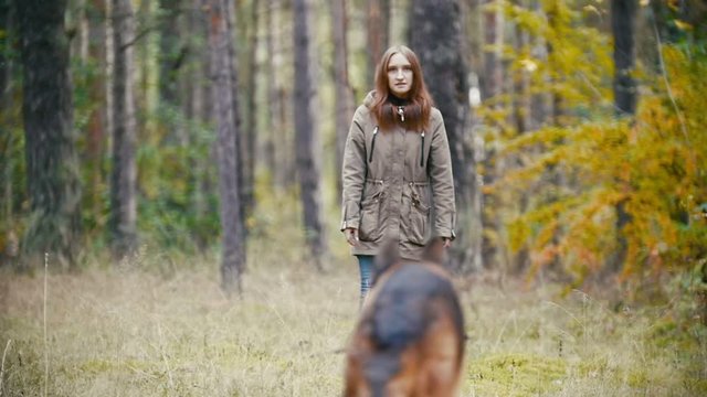 Young woman and her pet - german shepherd - walking on a autumn forest, the dog runs to the owner, slow motion