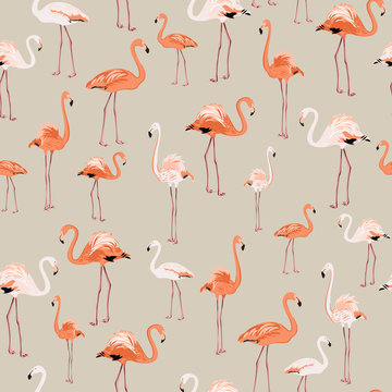 Exotic flamingo birds pattern on beige background