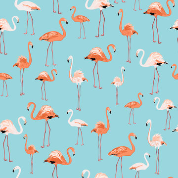 Elegant flamingos pattern on sky blue background