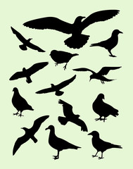 Obraz premium Seagulls, dove, pigeon, crow silhouette. Good use for symbol, logo, web icon, mascot, sign, or any design you want.