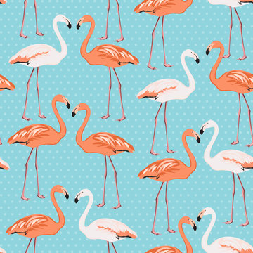 Flamingo couple seamless pattern on blue polka dot