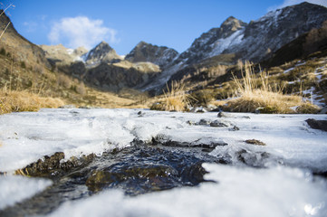 Fototapeta premium silence in nature enjoy