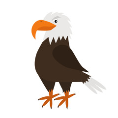Eagle Hawk. Big beak. Beautiful Exotic bird icon. Baby animal collection. Cute cartoon funny character. Flat design. White background. Isolated.