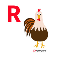 Letter R. Rooster bird. Cute cartoon funny character with big feather tail. Baby farm animal collection. Zoo alphabet. English abc. Flat design. White background. Isolated.