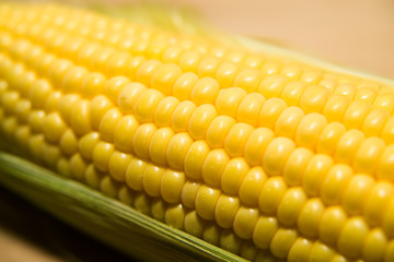 The seeds  fruit of the corn closeup.