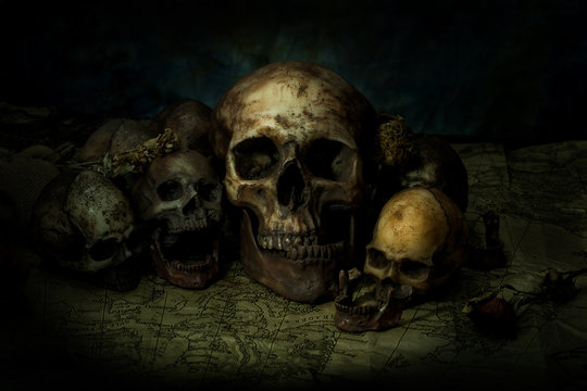 Low key image of Skulls