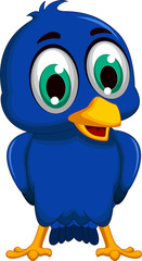 cute blue bird cartoon posing