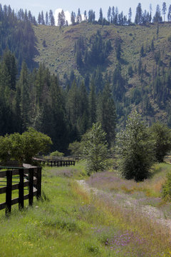 fence n tree mtn