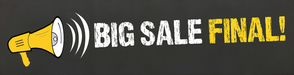 Big Sale Final! Megafon