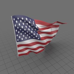 Flag USA 2