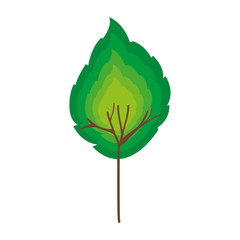 simple leaf icon image vector illustration design 