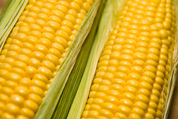 The seeds  fruit of the corn closeup.