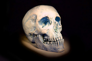 human skull isolated