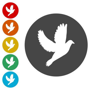 Dove circle background icon, isolated on white background 