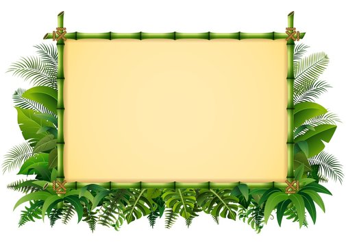 Tropical floral design background with green bamboo frame