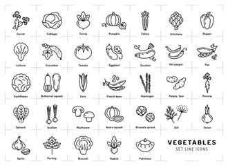 Vegetables icon isolated, Spices logo. Trendy thin line art style. Fresh vegetarian food, vegetable garden: tomato, salad, carrot, pepper, pumpkin, pea, onion, dill, parsley and etc. Vector