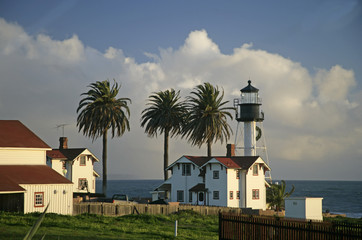 Fototapeta na wymiar lighthouse n palm-trees