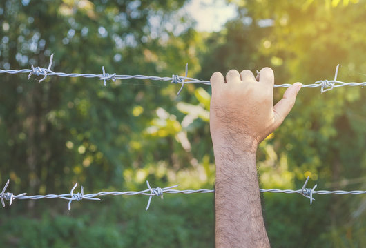 Hands holding barbed wire with sunlight.