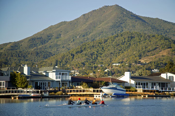 mt-tam n corte madera houses © danheller