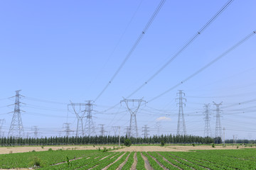 Many high voltage towers in the fields