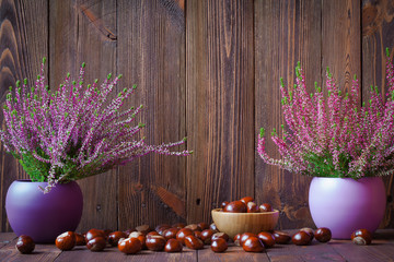 Heathers in ceramic pots and horse chestnuts on a background of dark wooden boards