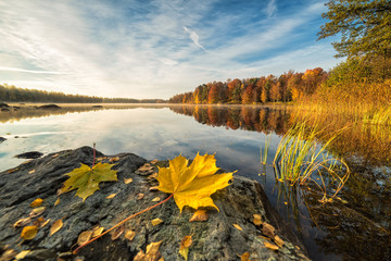 Idyllic autumn lake scenery with maple leaf on the rock