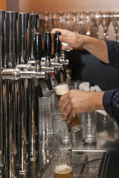barman pours beer into a glass