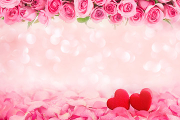Abstract background of Beautiful fresh sweet pink rose 