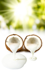 Isolated image of coconut and coconut milk closeup