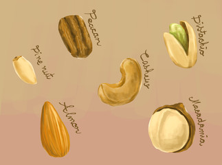 healthy nuts macadamia, peacan, cashew, pine nut, almond and pis