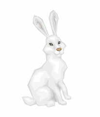 the sitting white hare. wild forest animal