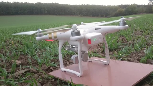Drone start for flight over wheat field. Young seedlings in brown soil. New tool for farmers use drones to inspect of cultivated fields. Modern technology in agriculture. 