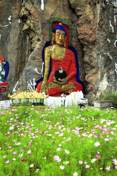 buddha n pink flowers