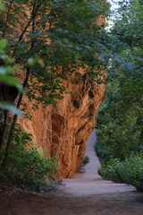 path rock wall trees