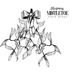 Vector hand drawn illustration of mistletoe branches bounded with bow. Christmas engraved decoration.