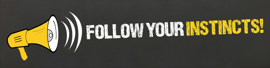 Follow Your Instincts! Megafon