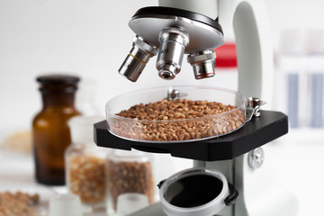 Food quality control in laboratory no one