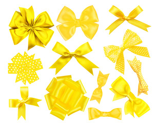 Set of yellow festive bows on white background