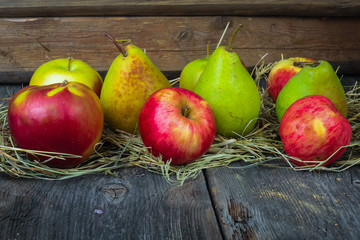 apples, pears in the hay
