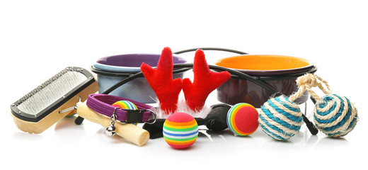 Pet accessories on white background