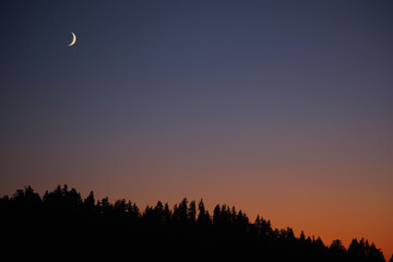 moon over trees at sunset