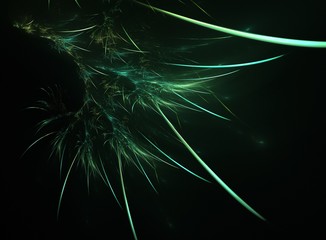 abstract image, background color, an unusual pattern