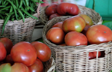  vegetable at safety agriculture fair