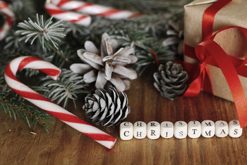 branches of a pine cone Christmas