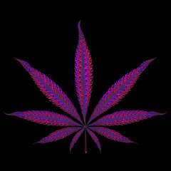 Hydroponics. Purple marijuana leaf patterns with a gradient
