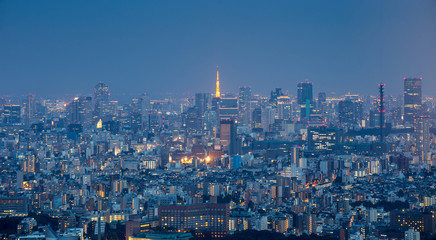 Fototapeta na wymiar Shinjuku Ward skyline in Tokyo, Japan.