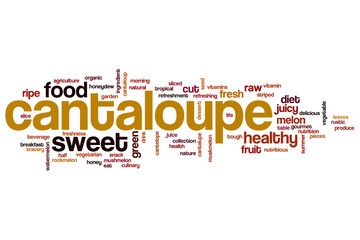 Cantaloupe word cloud