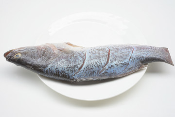seabass or barramundi fish on white background   © mayura_ben