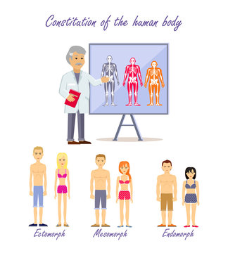 Constitution of the Human Body Types